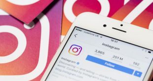 pentingnya memiliki banyak followers Instagram