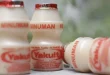 Mengulas Manfaat Yakult